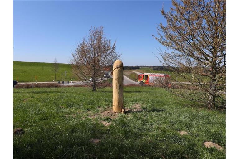 Ein rund hölzerner Penis steht in einem Kreisverkehr. Foto: Karl-Josef Hildenbrand/dpa/Archivbild