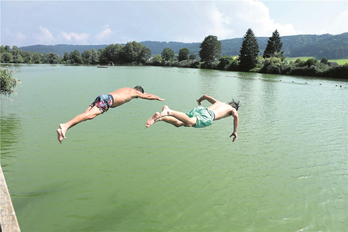 Ein Satz ins Grüne: Rainer Daboci (links) aus Untertürkheim und sein Sohn Fabian springen ins Wasser. Fotos: G. Habermann