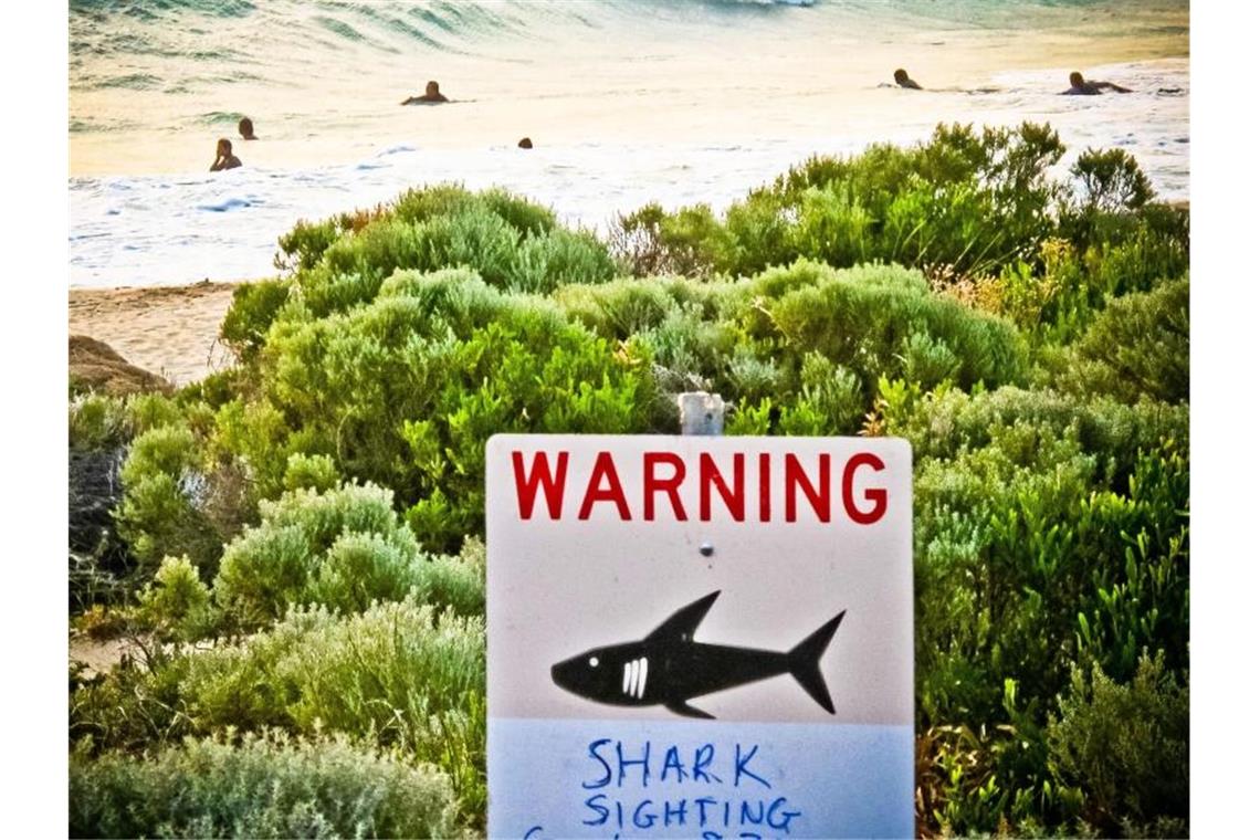 Ein Schild an einem australischen Strand warnt vor Haien (Symbolbild). Foto: Rebecca Le May/AAP/dpa
