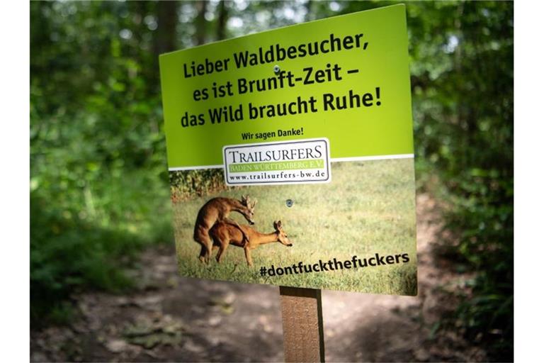 Ein Schild, das Mountainbiker von Fahrten quer durch den Wald abhalten soll, steht im Wald. Foto: Fabian Sommer