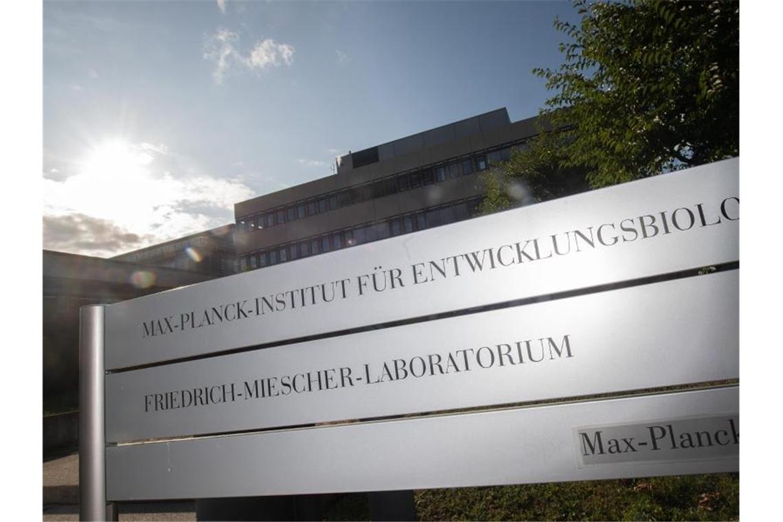 Ein Schild des Max-Planck-Instituts. Foto: Sebastian Gollnow/dpa/Archivbild