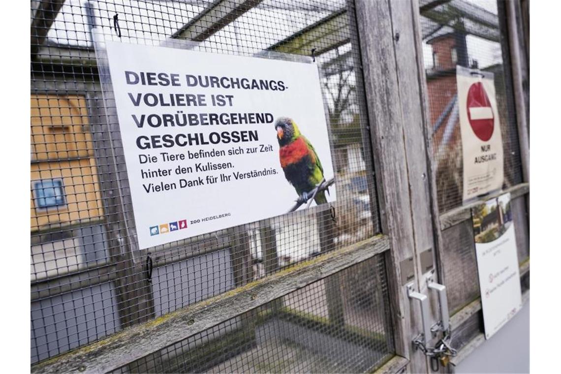 Heidelberger Zoo wegen Vogelgrippe zunächst geschlossen