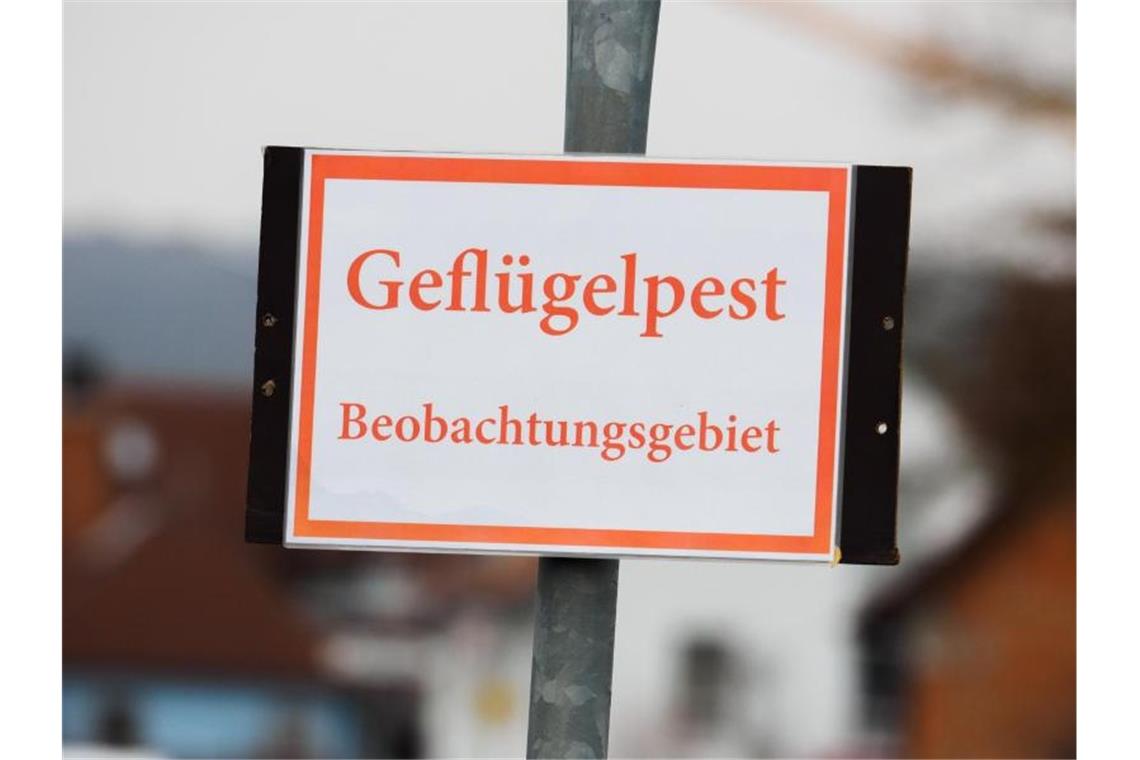 Ein Schild mit der Aufschrift „Geflügelpest - Beobachtungsgebiet“ ist zu sehen. Foto: picture alliance / Nicolas Armer/dpa/Archivbild