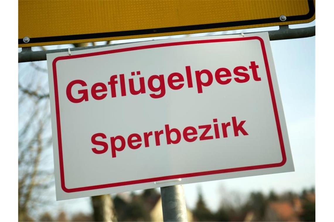 Ein Schild mit der Aufschrift „Geflügelpest Sperrbezirk“. Foto: Arno Burgi/dpa-Zentralbild/dpa