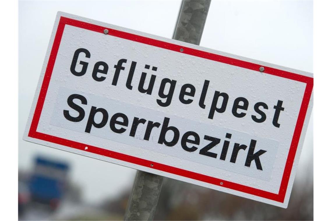 Breisgau-Hochschwarzwald: Maßnahmen gegen Geflügelpest Ein Schild mit der Aufschrift „Geflügelpest Sperrbezirk“. Foto: Stefan Sauer/dpa-Zentralbild/dpa/Archivbild