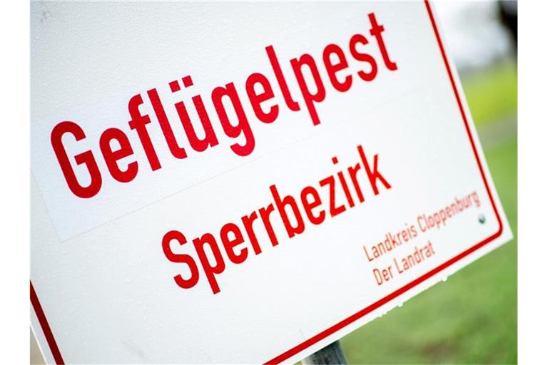 Ein Schild mit der Aufschrift „Geflügelpest Sperrbezirk“. Foto: Hauke-Christian Dittrich/dpa/Symbolbild