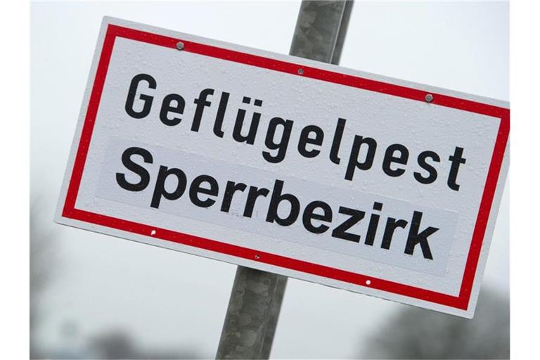 Ein Schild mit der Aufschrift „Geflügelpest Sperrbezirk“. Foto: Stefan Sauer/dpa-Zentralbild/dpa/Archivbild