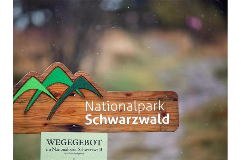 Ein Schild mit der Aufschrift "Nationalpark Schwarzwald" steht an einem Wanderweg. Foto: Sebastian Gollnow/dpa/Archivbild