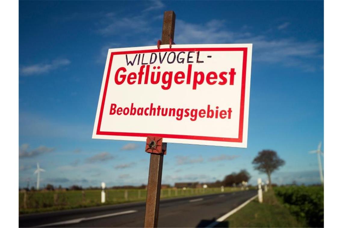 Schwarzwald-Baar-Kreis macht gegen Geflügelpest mobil Ein Schild mit der Aufschrift „Wildvogel-Gefügelpest Beobachtungsgebiet“ steht an einer Landstraße. Foto: Arnulf Stoffel/dpa/Symbolbild