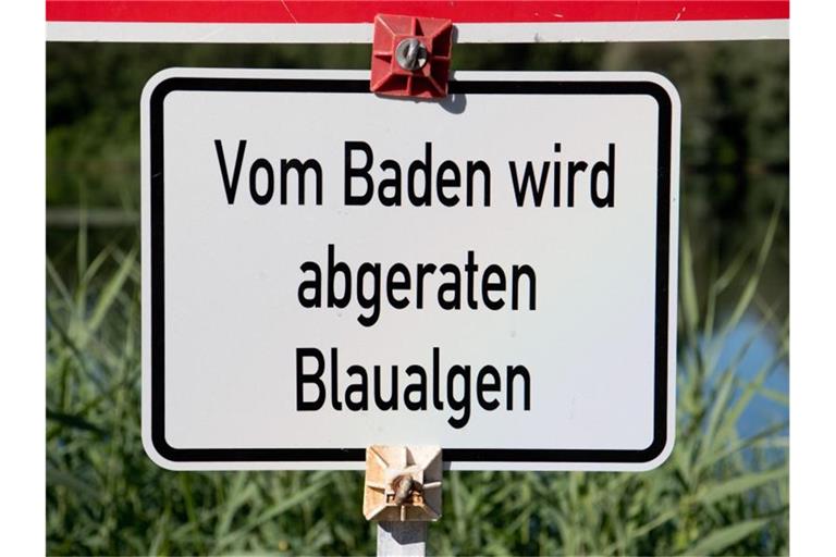 Ein Schild „Vom Baden wird abgeraten - Blaualgen“ steht am Ufer eines Badesees. Foto: Julian Stratenschulte/dpa/Symbolbild