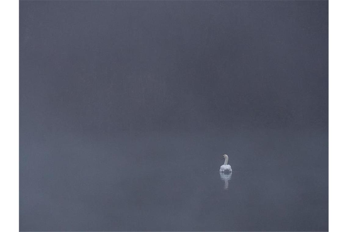 Wolken und Nebel zum Wochenstart im Südwesten