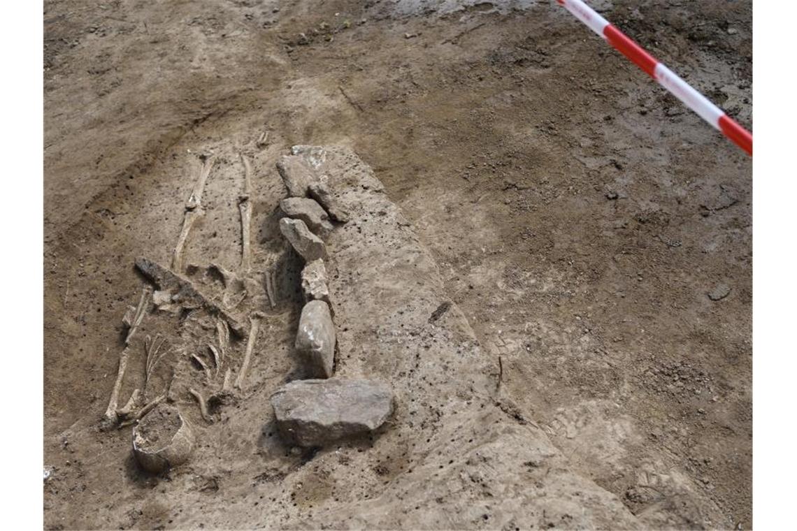 Ein Skelett aus einem freigelegten Grab ist auf einem Ausgrabungsgelände in Bad Cannstatt zu sehen. Foto: Edith Geuppert/Archivbild
