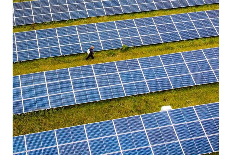 Ein Solarpark in Großbritannien. Foto: Ben Birchall/PA Wire/dpa