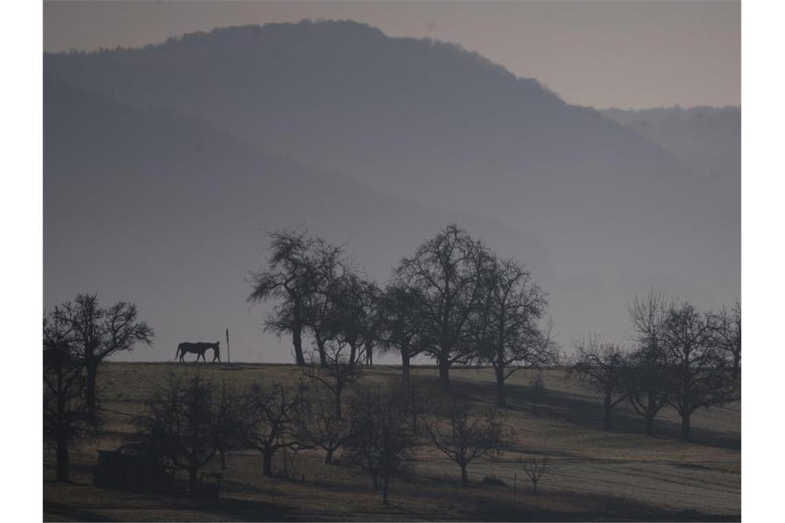 Das Wetter zum Wochenende: Nebel, Frost aber auch viel Sonne Ein Spaziergänger mit Pferd ist vor Schwäbischer Alb unterwegs. Foto: Sebastian Gollnow/dpa