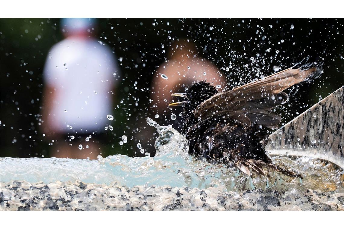 Bilder des Tages