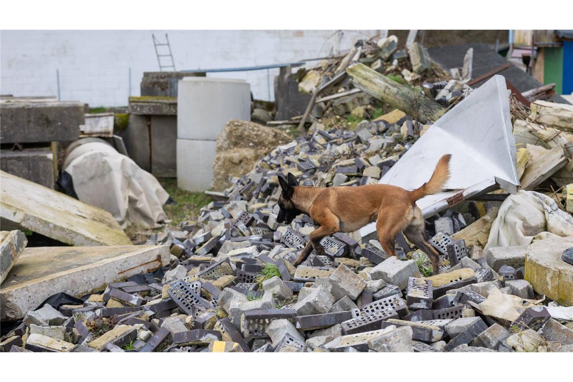 Ein starkes Erdbeben hat Japan erschüttert (Symbolbild).