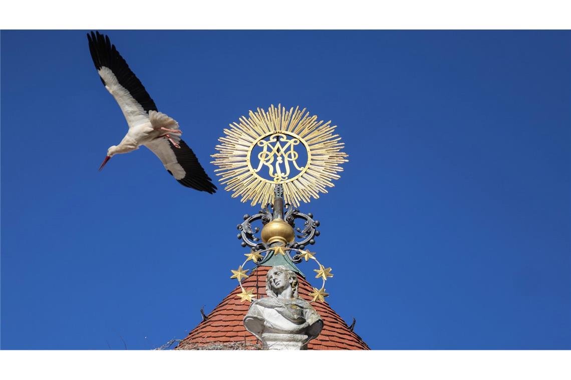 Bilder des Tages Ein Storch fliegt im Sonnenschein am barocken Münster „Unserer lieben Frau“ in Zwiefalten im Landkreis Reutlingen vorbei.