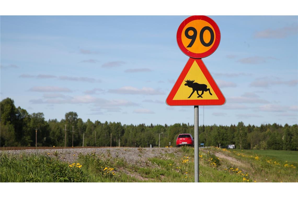 Ein Straßenschild warnt im Norden von Schweden vor Elchen. (Illustration)