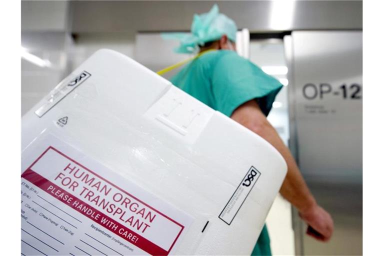 Ein Styropor-Behälter zum Transport von zur Transplantation vorgesehenen Organen. Foto: Soeren Stache/dpa