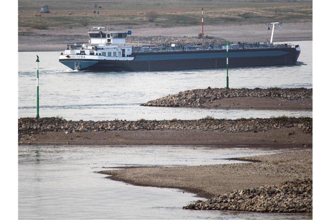 Ein Tankschiff fährt bei Niedrigwasser zwischen trocken gefallenden Buhnen auf dem Rhein. Foto: Federico Gambarini