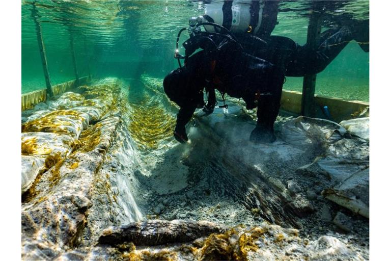 Ein Taucher arbeitet am Fundort eines mehr als 4500 Jahre alten Einbaums am Seerhein. Foto: Florian Huber/Wirtschaftsministerium/dpa