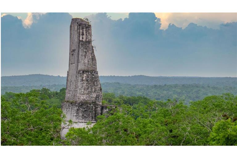 Ein Tempelrelikt der untergegangenen Maya-Metropole Tikal ragt aus dem Dschungel Guatemalas.