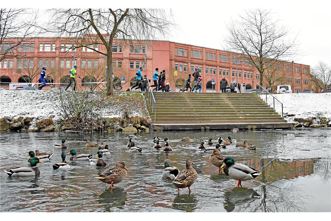 Ein tolles winterliches Panorama an der Murr beim Silvesterlauf in Backnang 2025...