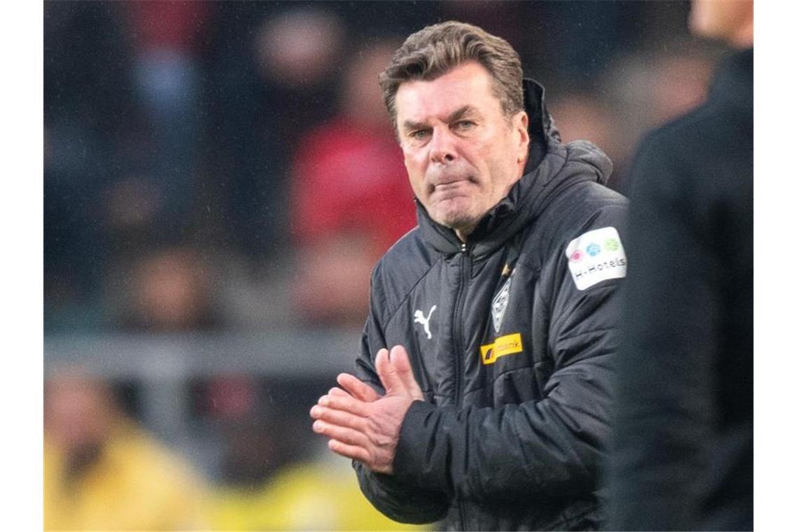 „Bild“: Hecking Trainer-Kandidat beim Hamburger SV