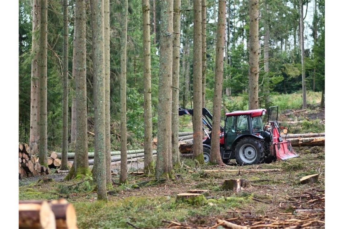 Hitze und Käfer: 340 Millionen Euro für Wald-Aufforstung Ein Traktor steht im Wald neben gefällten Bäumen. Foto: Patrick Seeger/dpa
