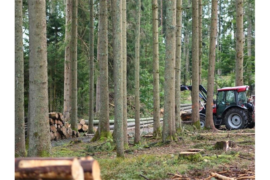 Mehr Geld für Wälder im Südwesten: Bund beteiligt sich Ein Traktor steht im Wald neben gefällten Bäumen. Foto: Patrick Seeger/dpa/Archiv