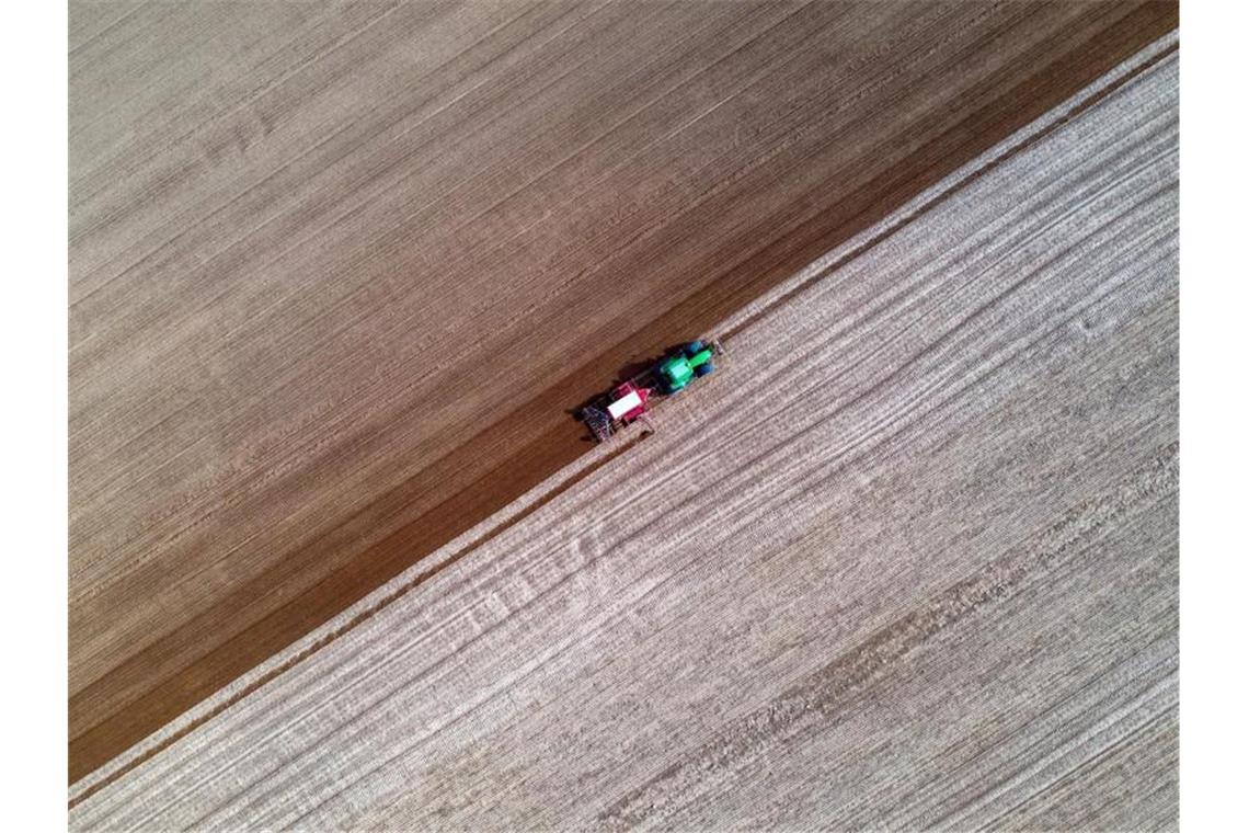 Nabu kritisiert Einsatz von mit Insektizid gebeiztem Saatgut Ein Traktor zieht eine Drillmaschine über einen Acker und bringt Saatgut ein. Foto: Jens Büttner/dpa-Zentralbild/dpa/Symbolbild