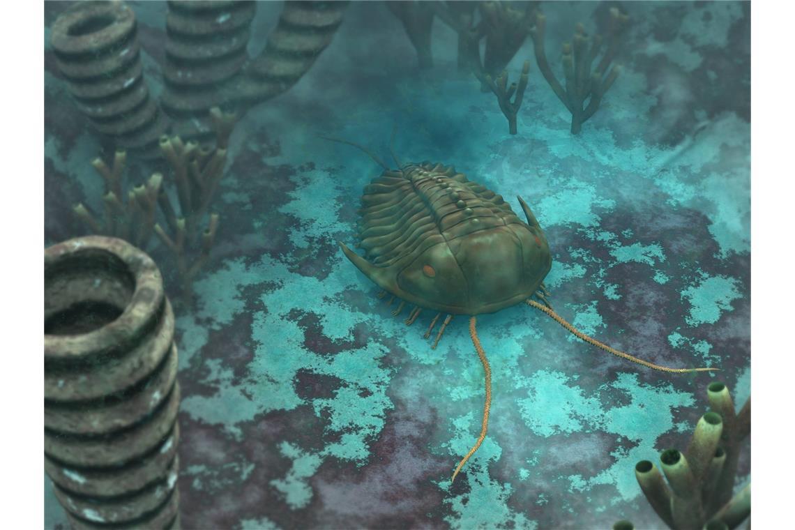 Wie Raubtiere vor 517 Millionen Jahren ihre Beute jagten Ein Trilobite schwimmt im Ur-Ozean Panthalassa.