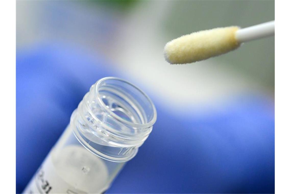 Vor Spiel in Mannheim: Zwei Osnabrücker positiv getestet Ein Tupfer mit einem Abstrich für einen Corona-Test. Foto: Sebastian Gollnow/dpa/Symbolbild