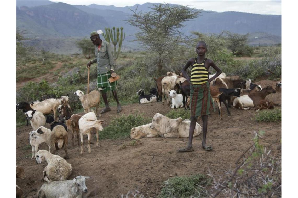 Ein ugandischer Farmer zählt die Tiere seiner Herde: Karamoja, eine der ärmsten Regionen Ugandas, ist stark vom Klimawandel betroffen. Foto: Adelle Kalakouti/AP/dpa