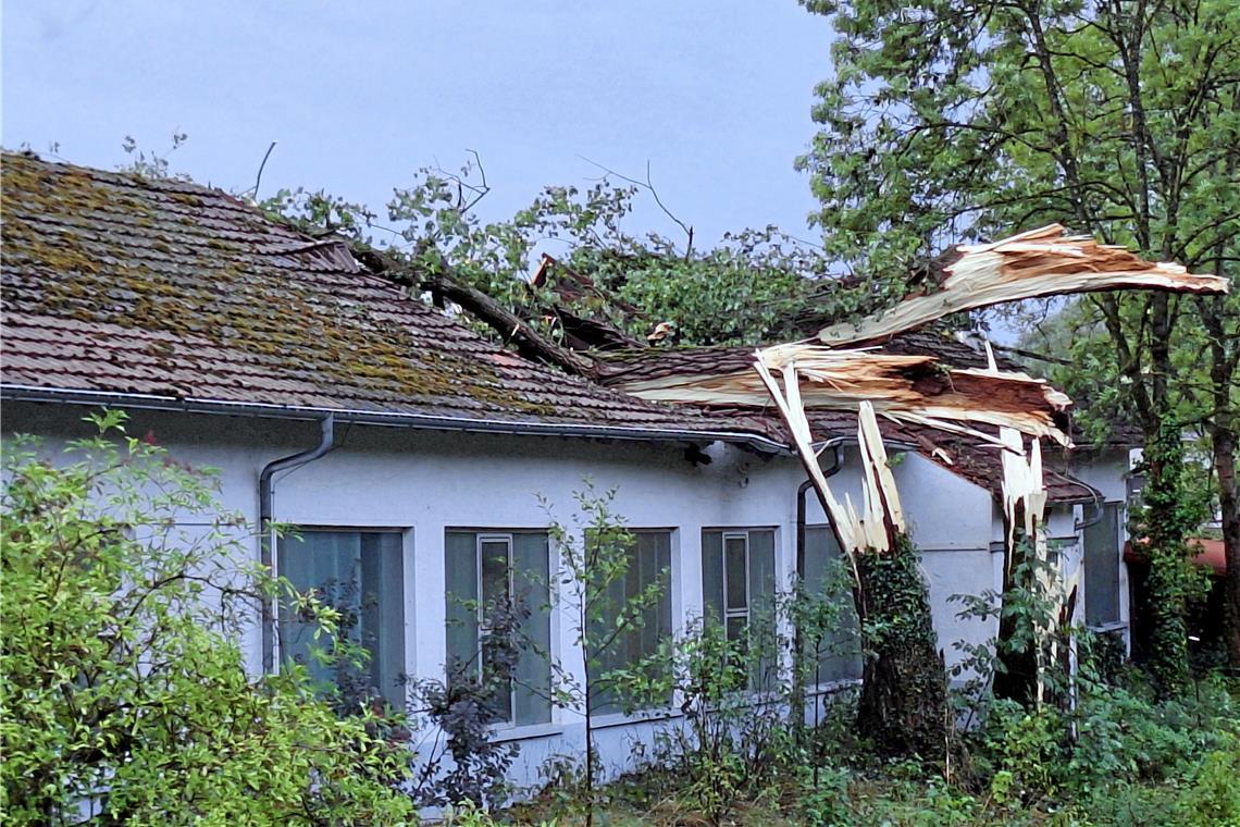 Ein umgestürzter Baum beschädigte das Dach dieses Firmengebäudes. Foto: Erik Christmann 