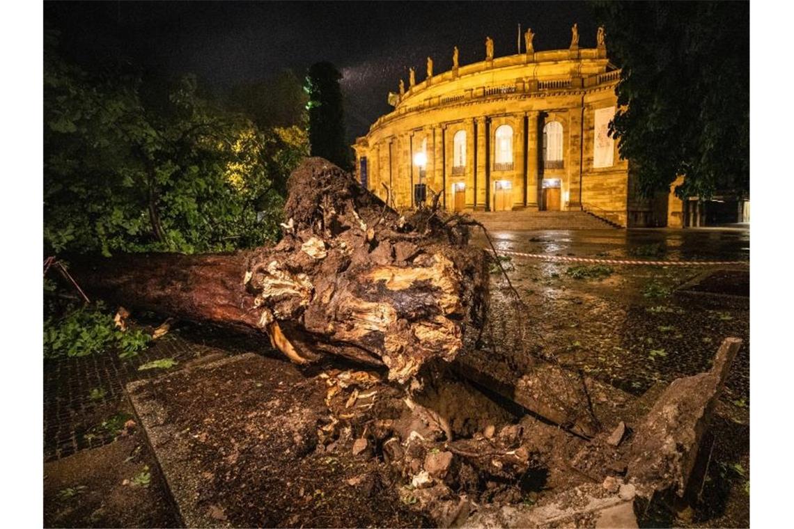 Ein umgestürzter Baum liegt im oberen Schlossgarten vor dem Opernhaus in Stuttgart. Foto: Christoph Schmidt/dpa