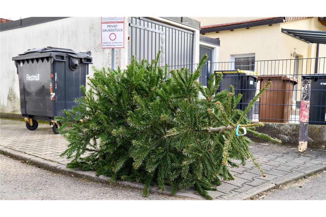 Ein unbekannter Autofahrer hatte den Weihnachtsbaum verloren. (Symbolbild)