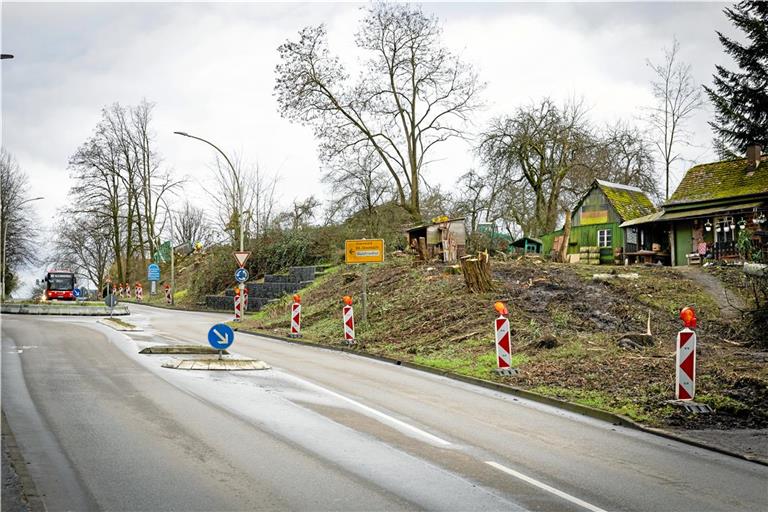 Ein ungewohnter Anblick: Die einst bewaldete Böschung entlang der Aspacher Straße gibt den Blick frei auf die Gartenhäuschen dahinter. Hier soll die Rampe von der B14 hinunterführen. Und der Kreisel mit dem Dresdener Ring wird durch eine Ampel ersetzt.