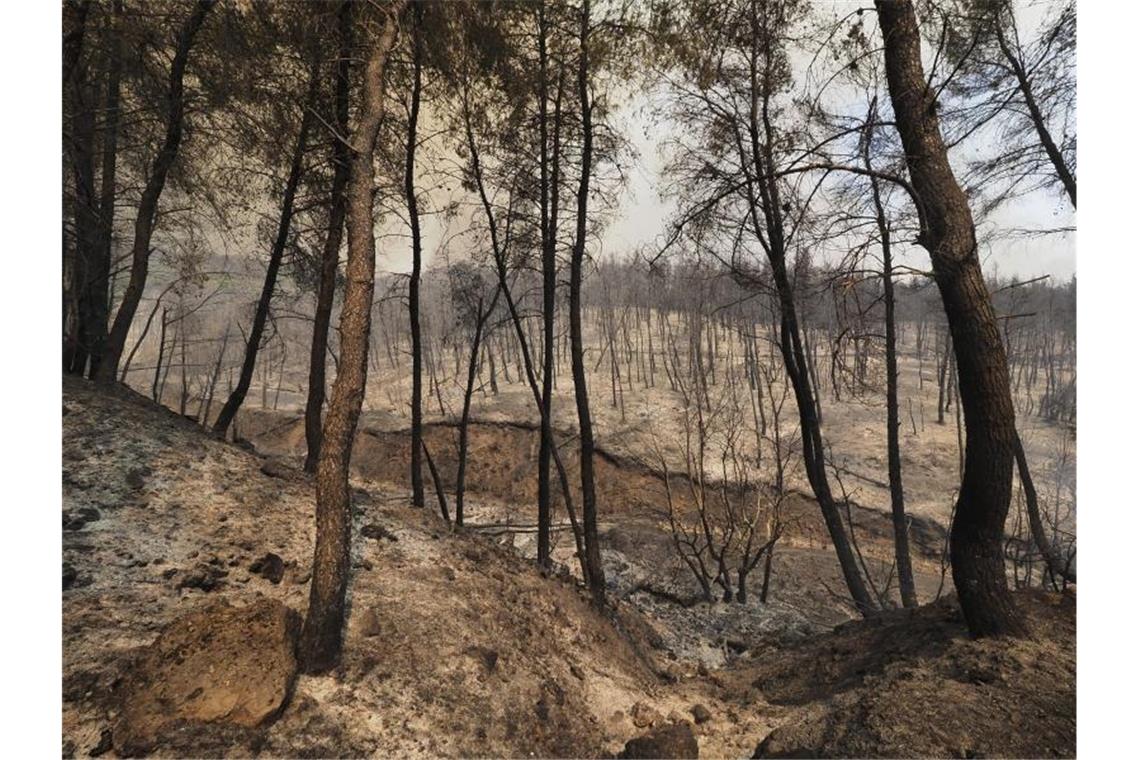 Klimabericht sagt drastische Klimawandel-Folgen voraus Ein verbrannter Wald in der Nähe des Dorfes Limni, etwa 160 Kilometer nördlich von Athen, auf der Insel Euböa. Foto: Thodoris Nikolaou/AP/dpa
