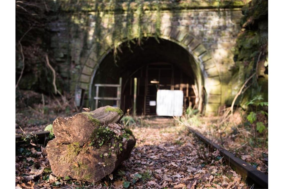 Ein verwitterter Holzklotz liegt am vor einem Eingang des Hirsauer Tunnels bei Calw. Foto: picture alliance / Lino Mirgeler/dpa/Archivbild