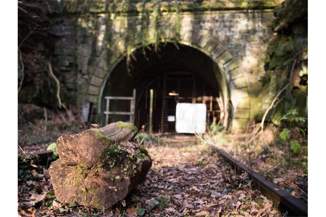 Ein verwitterter Holzklotz liegt vor einem Eingang des Hirsauer Tunnels bei Calw. Foto: Lino Mirgeler/Archivbild