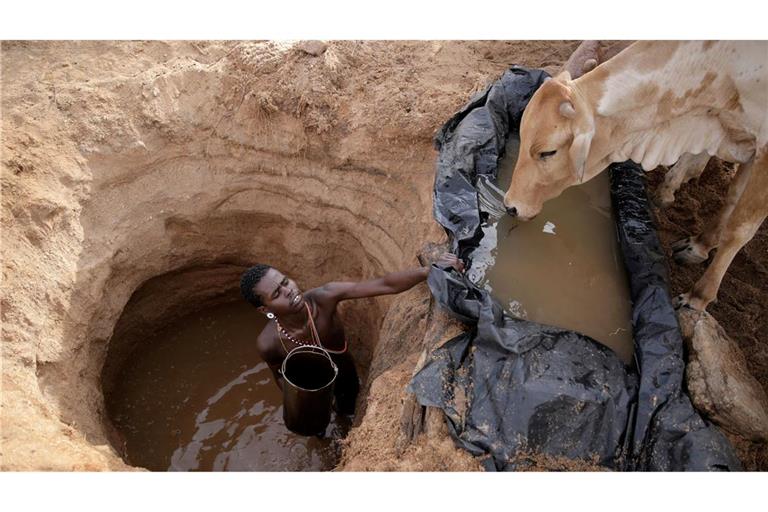 Ein Viehhirte vom Volk der Samburu im Norden Kenias tränkt Rinder (Archivbild)