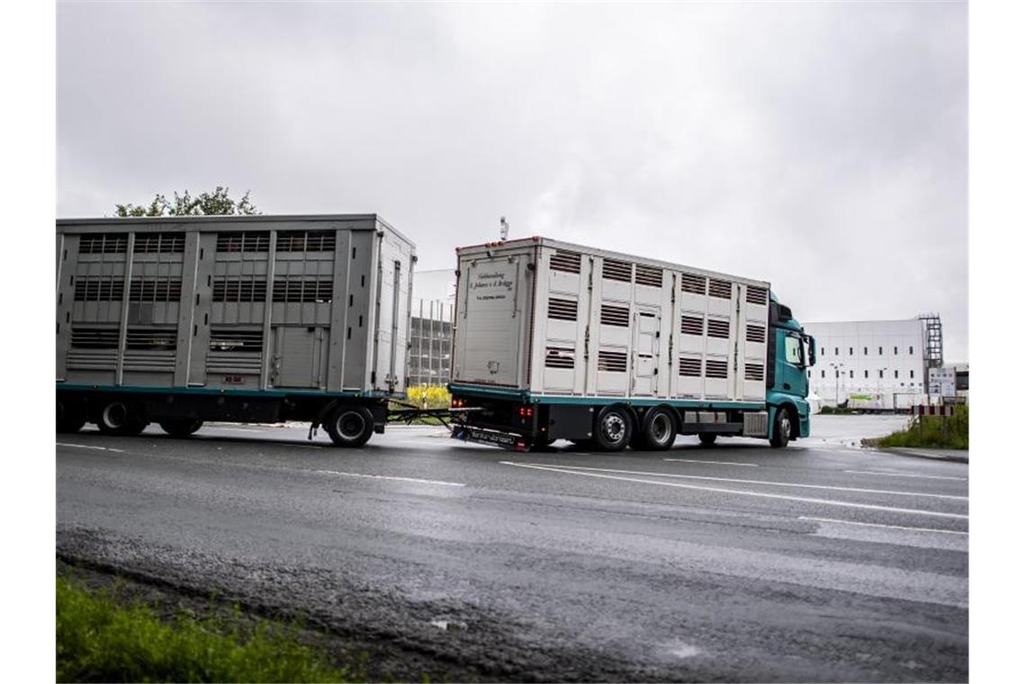 Tönnies-Vorschlag: 1000 Einstellungen bis September Ein Viehtransporter fährt auf das Betriebsgelände der Firma Tönnies. Foto: David Inderlied/dpa
