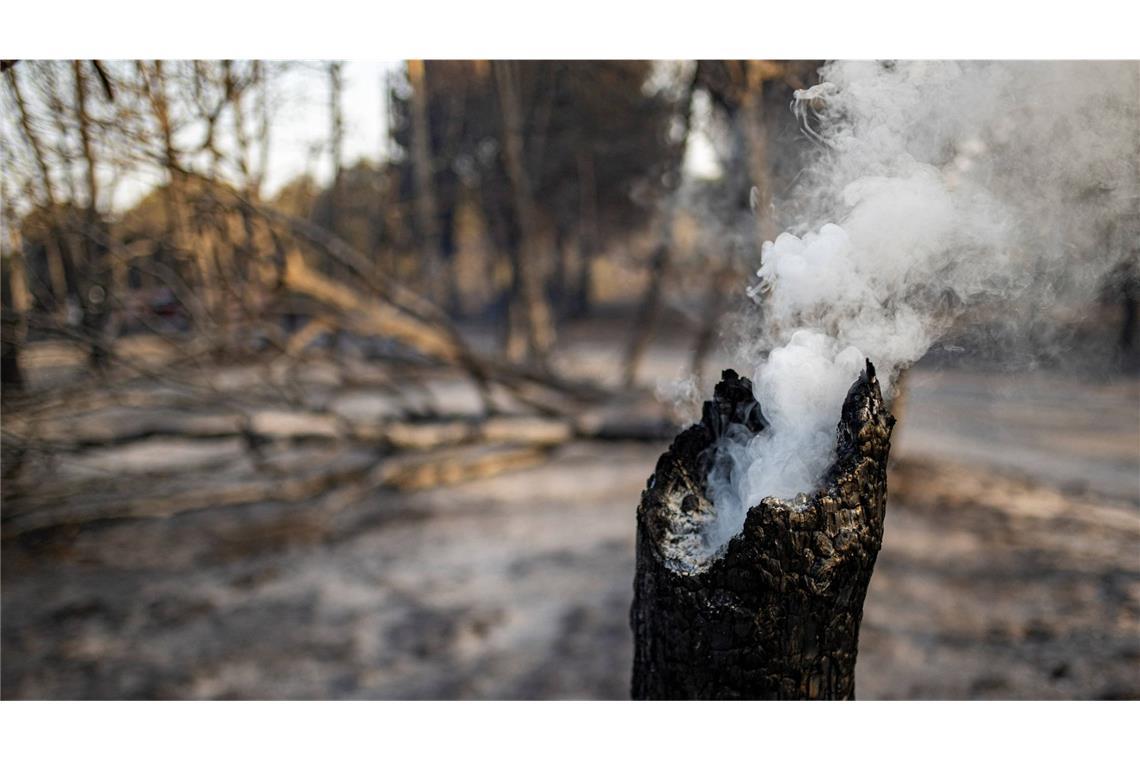 Feuersbrünste verwandeln Südfrankreich in Flammenhölle Ein Wald steht in der Nähe von Fontjoncouse, im Südwesten Frankreichs, in Flammen. Mehr als 16.000 Hektar Land befielen die Flammen, wie die örtliche Präfektur mitteilt.