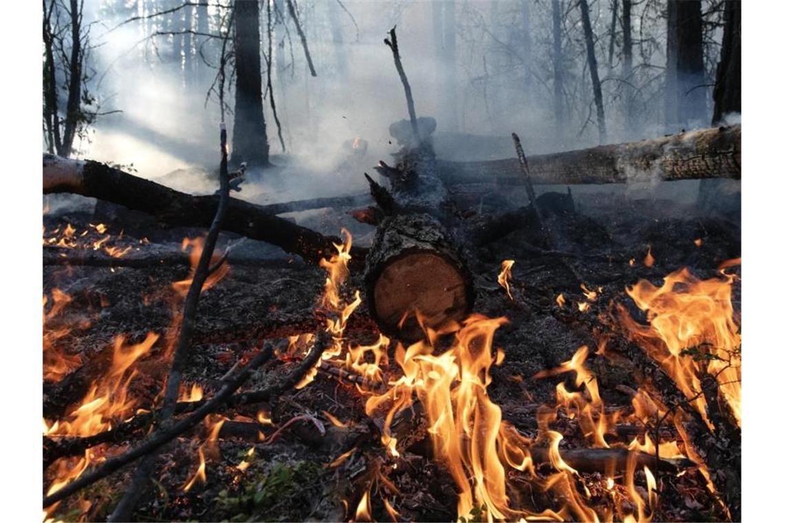 Ein Waldbrand im Gebiet Gorny Ulus in der Republik Sacha im Nordosten Russlands. Foto: Valeriy Melnikov/Sputnik/dpa