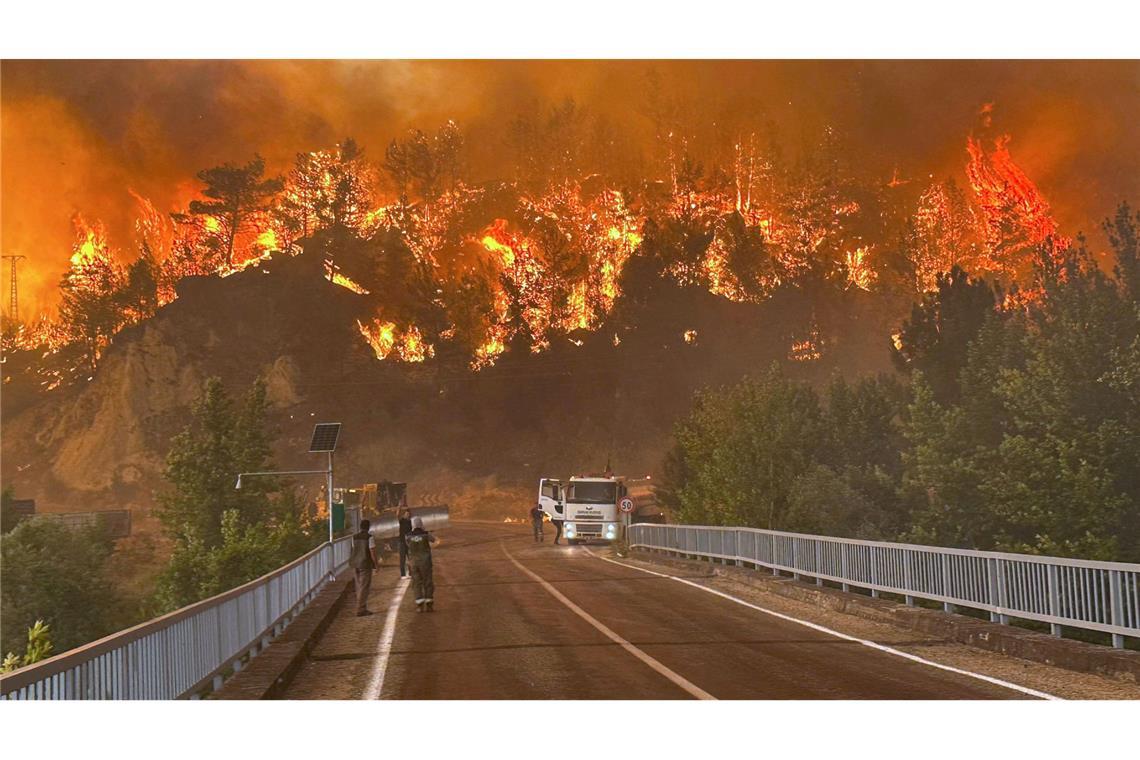 Ein Waldbrand wütet in einem Waldgebiet in der Nähe des Dorfes Cavuslar im Bezirk Karabuk im Nordwesten der Türkei.