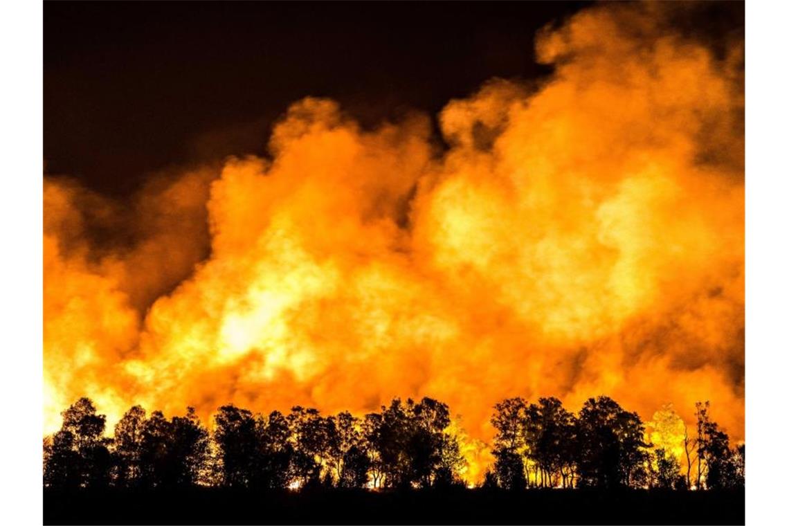 Großbrand in Naturschutzgebiet weiterhin nicht gelöscht Ein Waldstück im Mariapeel bei Deurne in den Niederlanden steht unter Feuer. Foto: Rob Engelaar/ANP/dpa