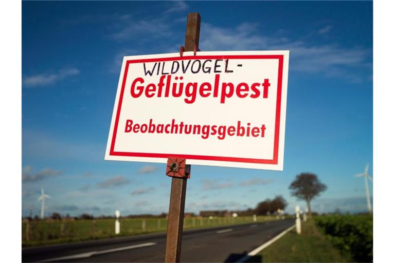 Ein Warnschild mit der Aufschrift „Wildvogel-Gefügelpest Beobachtungsgebiet“ steht an einer Landstraße. Foto: Arnulf Stoffel/dpa/Symbolbild