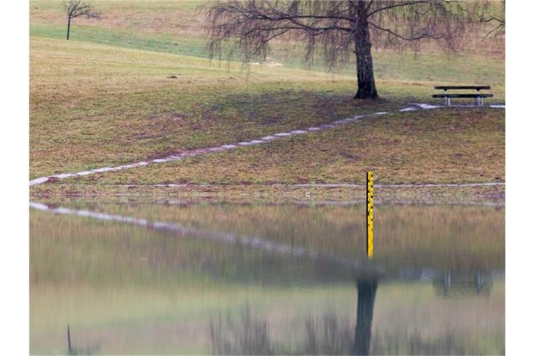 Ein Wasserstandsanzeiger steht im Eichener See. Foto: Philipp von Ditfurth/dpa