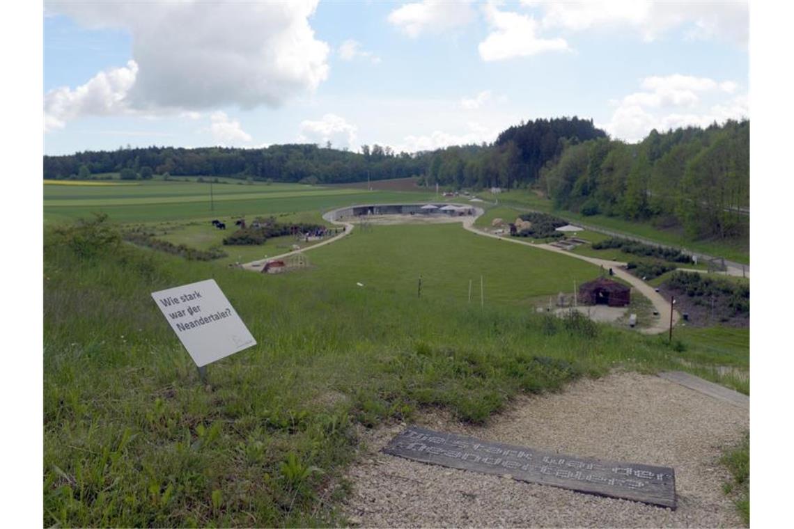 Ein Weg führt in Niederstotzingen durch den Archäopark. Foto: picture alliance / Stefan Puchner/dpa/Archivbild